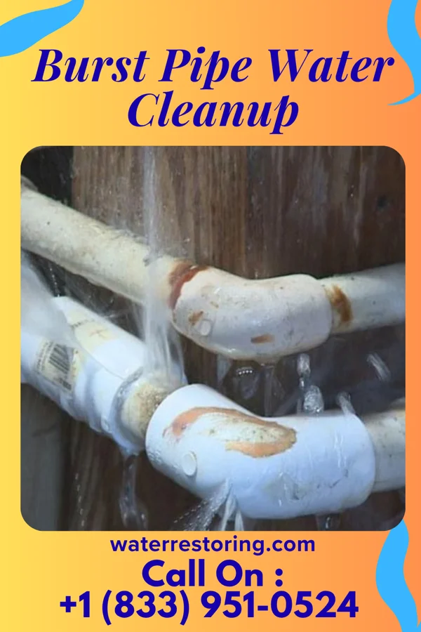 Burst Pipe Water Cleanup in Falls City, OR
